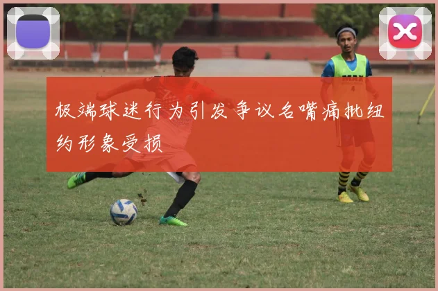 极端球迷行为引发争议名嘴痛批纽约形象受损